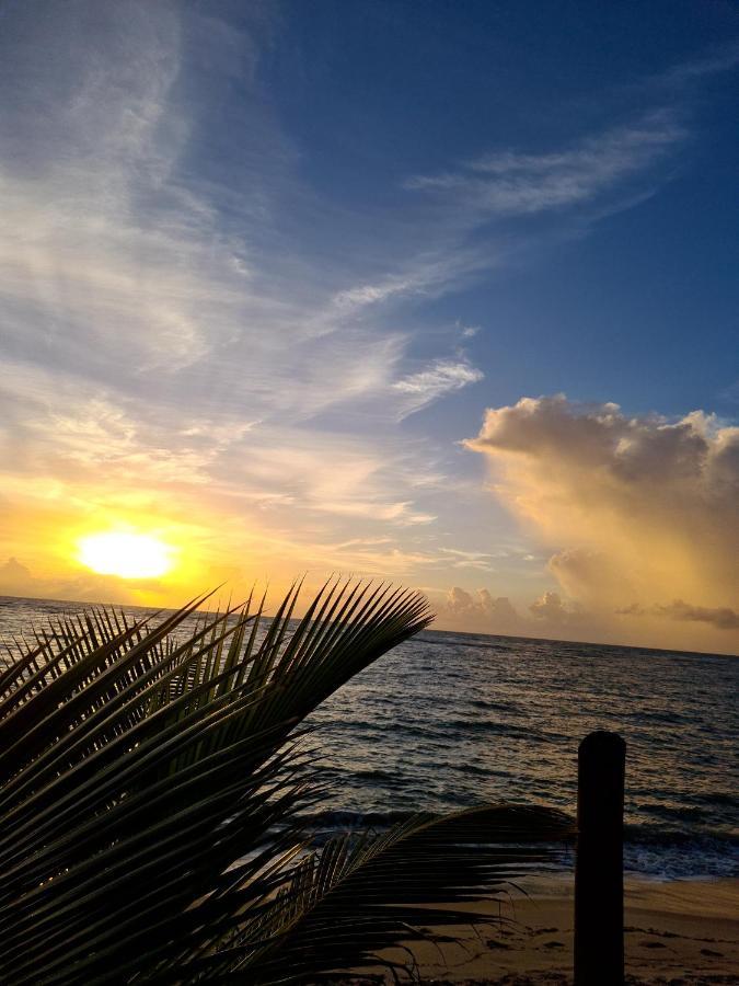 Oca 1 Casa Beira Mar Villa Porto Seguro Eksteriør billede
